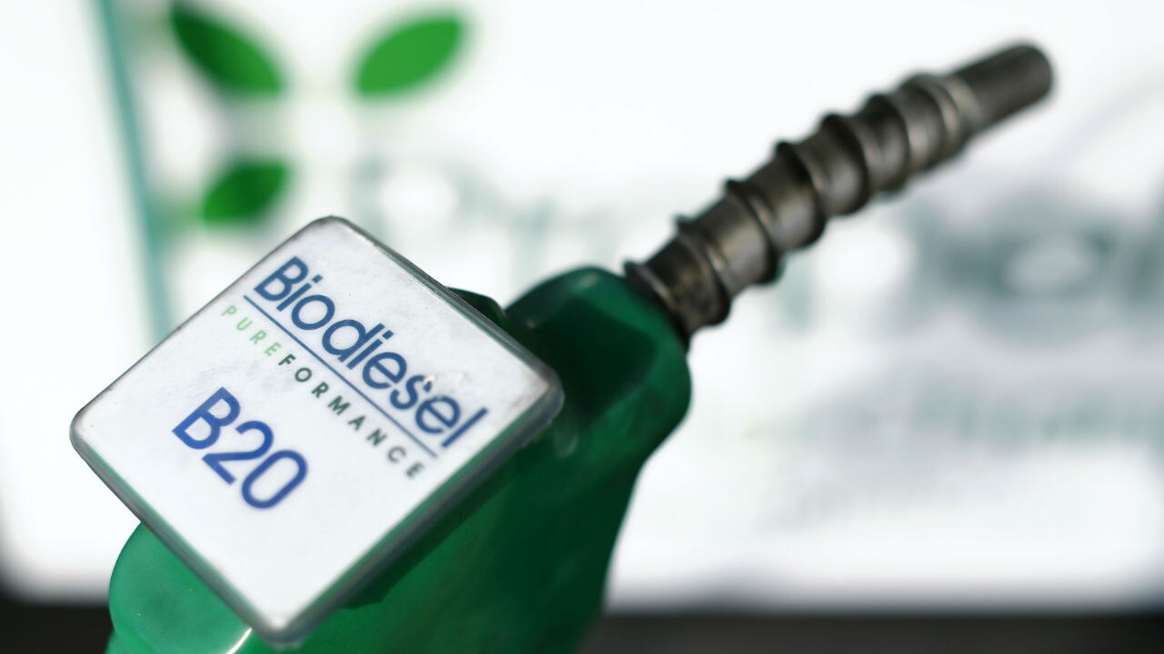 biodiesel-1280p-reuters